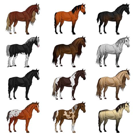 Most Popular Horse Breeds Sharp Tack