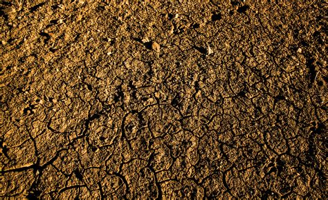 Free Images Nature Sand Wood Field Texture Floor Asphalt Bark