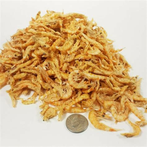 Krill Freeze Dried Ocean Krill For Tropicals Marines Cichlids Koi