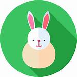 Easter Bunny Icons Icon
