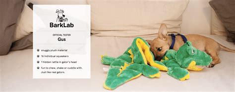 Bark And Co Debuts Its First E Commerce Site With Doggie Destination