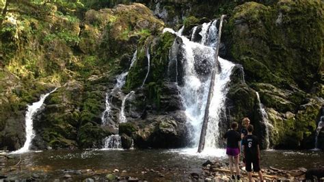 Check spelling or type a new query. Trail of the Week: Eatonville's Little Mashel Falls | The ...