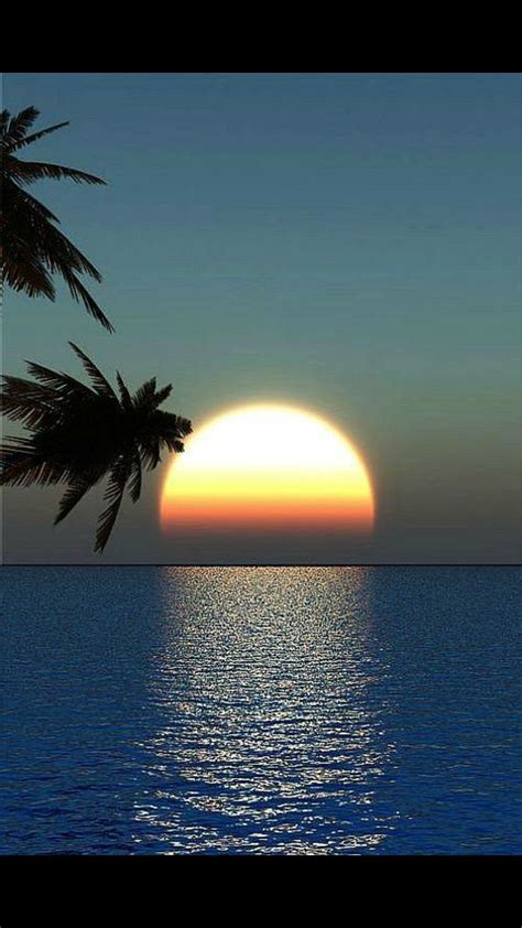 Tropical Moon Beautiful Sunset Scenery Beautiful Sunrise