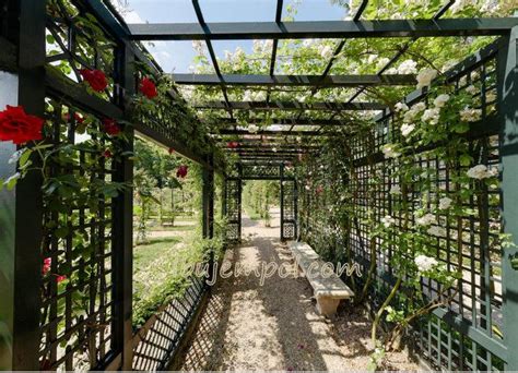 Our pergola design is made to handle the outdoors. french pergola - Google Search | Pergola, Dream garden, Marne