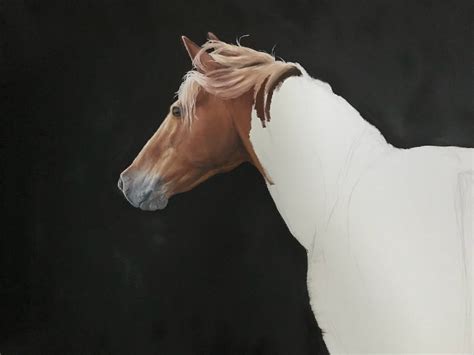 Original Equine Art Horse Oil Painting Halflinger Palomino Lights 22x28