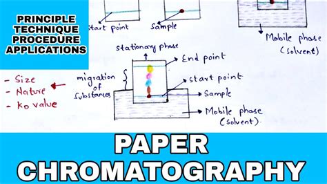 Paper Chromatography Principle Procedure Development Techniques