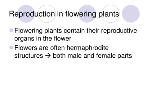 Ppt Reproduction In Angiosperms Powerpoint Presentation Free