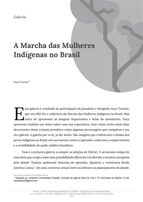Pdf Galeria A Marcha Das Mulheres Indígenas No Brasil 2021
