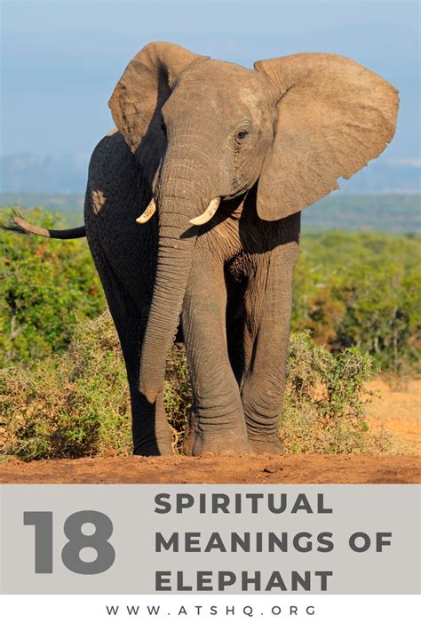 Elephant Symbolism 18 Spiritual Meanings Of Elephant