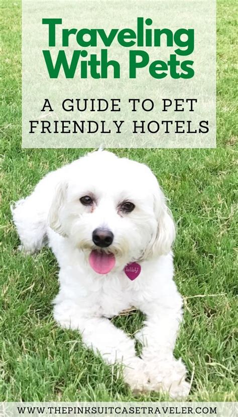 Find the best pet friendly hotels and hotel chains that allow pets. Pin on Best Pet Friendly Hotel Chains in the US