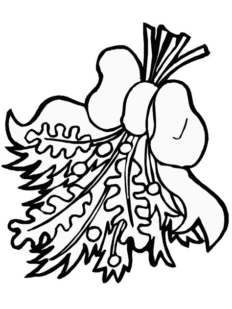 Mistletoe Coloring Pages Printable Coloring Pages