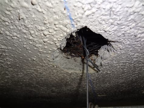 We did not find results for: Damaged Asbestos Ceiling Plaster | Flickr - Photo Sharing!