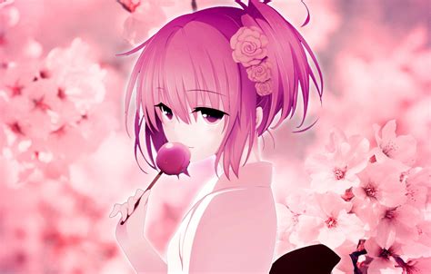 Anime Cherry Blossom Wallpaper Art Wallpapers