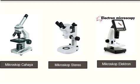 Mengenal Mikroskop Sejarah Fungsi Jenis Bagian Dan Cara
