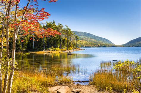 Maine Landscape Stock Photos Pictures And Royalty Free Images Istock