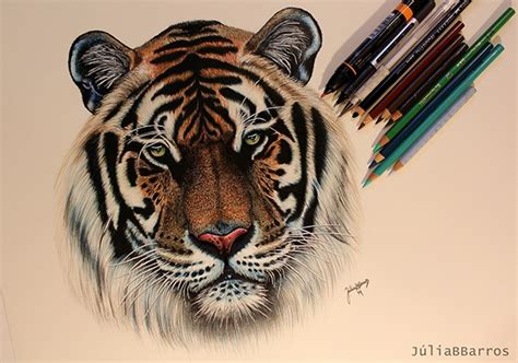 Desenho Tigre Tiger Drawing On Behance