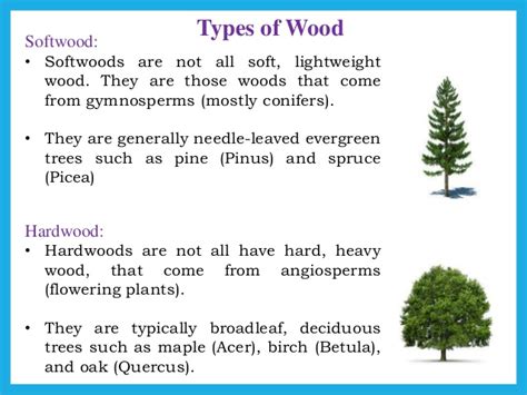 Hardwood Vs Softwood Differences Uses Species Examples Zohal