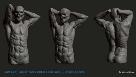 Vertically it lies a little external to a line drawn down from the middle of the clavicle; Male Upper Torso Anatomy - ArtStation - Male Torso Anatomy ...