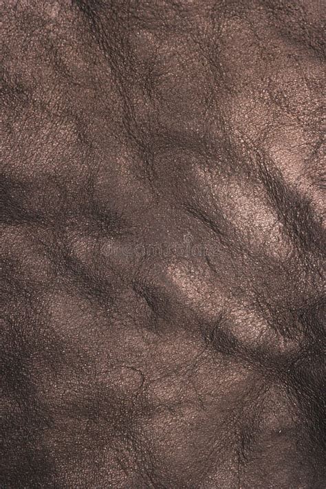 Closeup Detail Of Brown Leather Texture Background Stock Photo Image