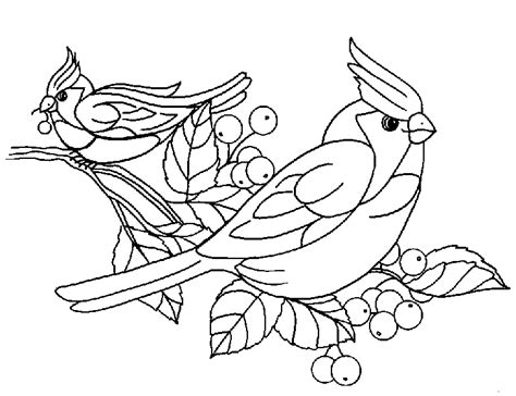 Imagen Zone > Dibujos para colorear > Animales Pajaros pajaro 02