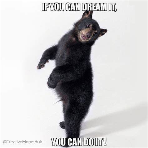 Pin By Creative Moms Hub On Cmh Articles And Memes Black Bear Bear