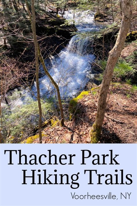 Thacher Park Hiking Trails Voorheesville Ny A Nation Of Moms
