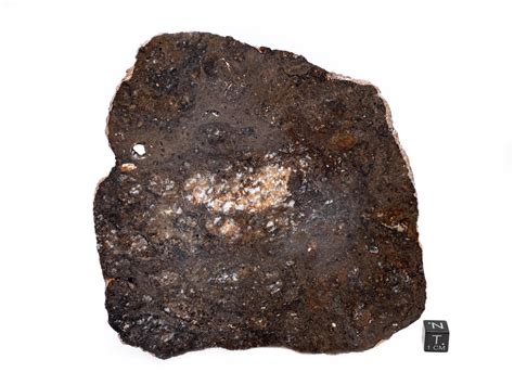 Eucrite Nwa 10514 1354g Aerolite Meteorites