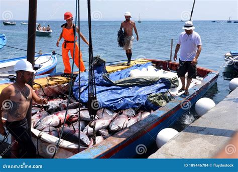 Italy Sardinia Carloforte June 18th 2017 Tuna Fishing Fishermen