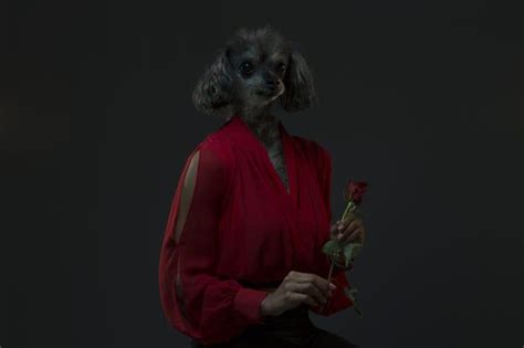 Isaac Alvarezs Humorous Portraits Merged Dog Heads With