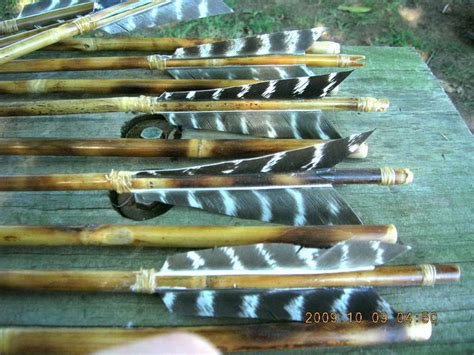 Primo River Cane Arrows For Sale Paleoplanet