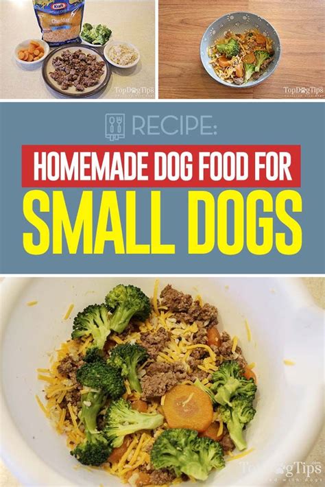 Recipe Homemade Dog Food For Small Dogs Healthy Dog Food Recipes