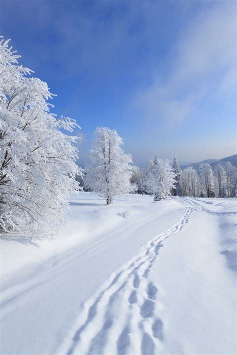 Зимний Пейзаж Картинки На Телефон Telegraph