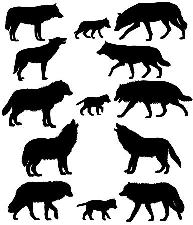 Download Silhouettes Of Wolves And Wolfcubs Stock Illustration ...