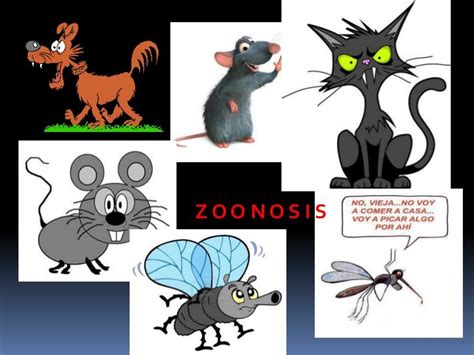 Zoonosis