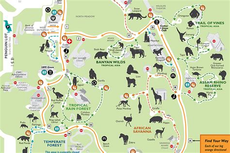 Woodland Park Zoo Map Pdf The World Map