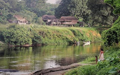 Près de — рядом, близко le bassin est près de la maison. Protéger la forêt du plateau des Guyanes | WWF France