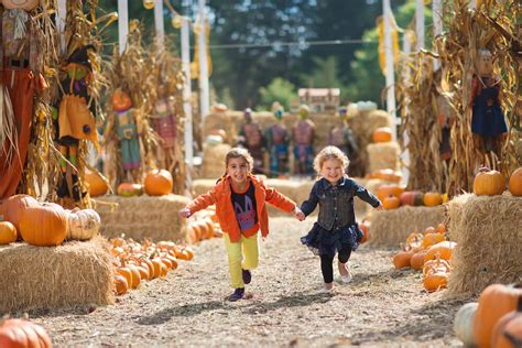 Colorado Fall Pumpkin And Harvest Festivals 2018 The Denver Ear