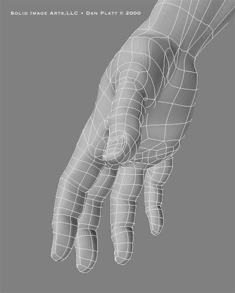 Hand Wireframe From The Side Face Topology Wireframe Animation Art