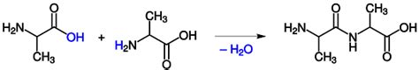 Thus, prolyltyrosine amide was designed as the simplest. Glossar Heynkes