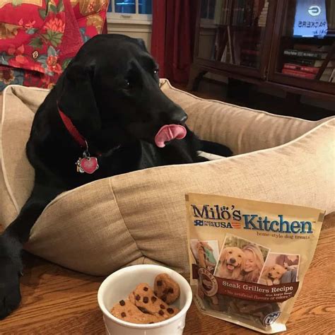 Database containing dog pedigrees including thousands of photos. Homemade Peanut Butter Dog Treats - That Skinny Chick Can Bake