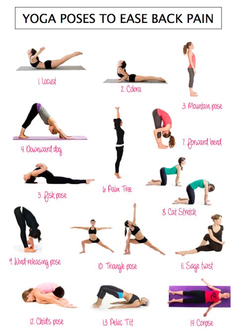 Infographic 14 Yoga poses that will relieve your back pain