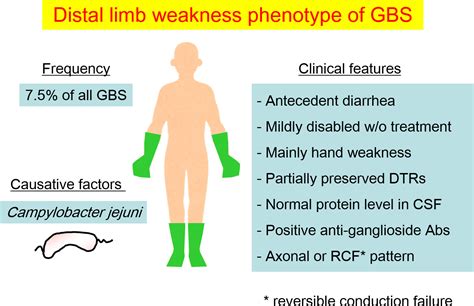 Supplemental Materials For Distal Limb Weakness Phenotype Of Guillain