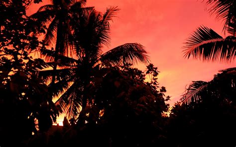 Entah kapan terakhir kali duduk manis menikmati senja #fotosenja pic.twitter.com/tubudwtwsg. Galeri Grafer: Foto-foto Senja yang Indah