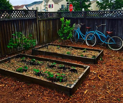«» press to search craigslist. Chip Drop - Get Free Wood Chip Mulch, DELIVERED! - Urban ...