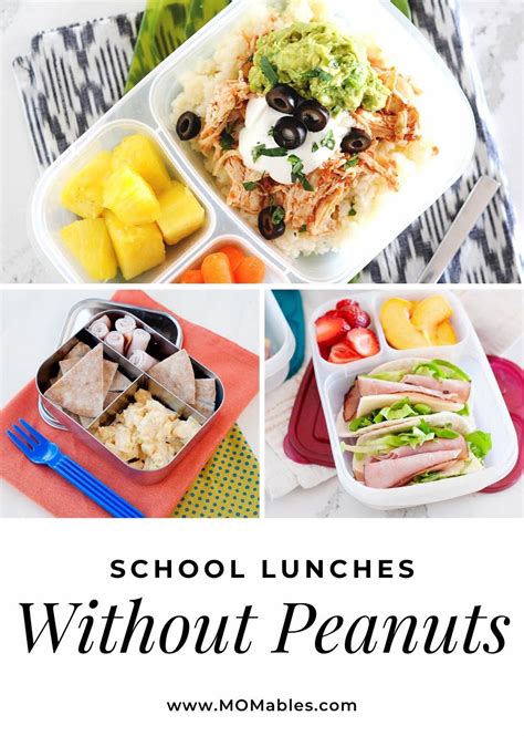 10 Nut Free School Lunch Ideas Momables Easy Lunches