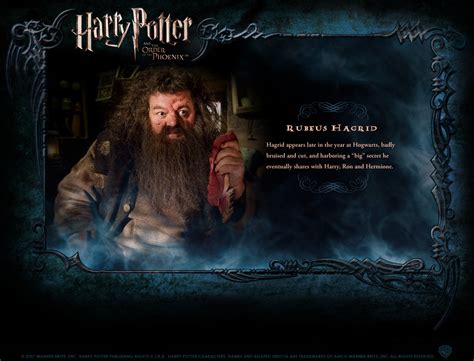 Find the best 1080p harry potter wallpaper on getwallpapers. Character Profile - Harry Potter Photo (130054) - Fanpop