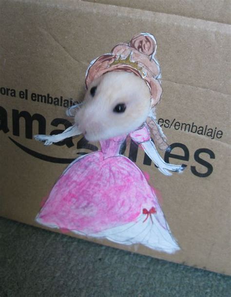 Hamster Dress Up Funny Hamsters Cute Hamsters Super Cute Animals