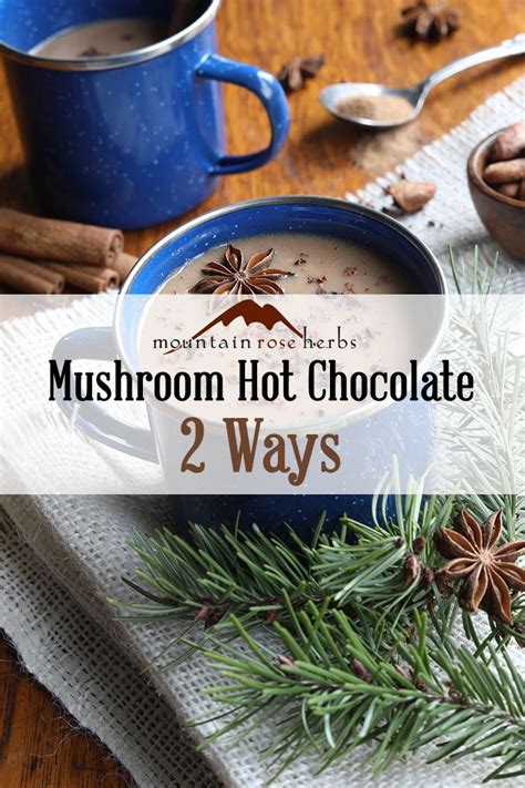 Herbal Mushroom Hot Chocolate 2 Ways Mushroom Hot Chocolate Hot