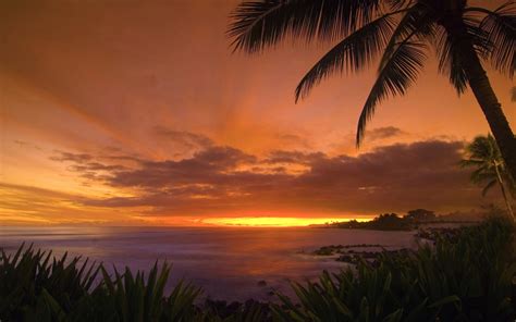 Hawaiian Sunset Wallpaper Wallpapersafari