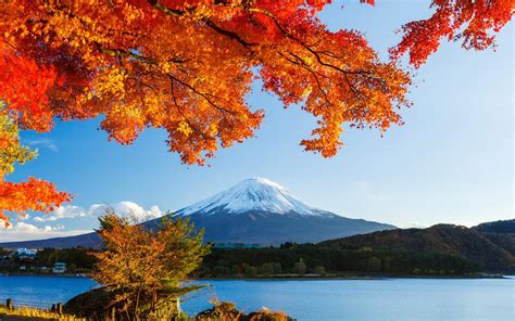 Check spelling or type a new query. Mount Fuji Wallpaper HD Download